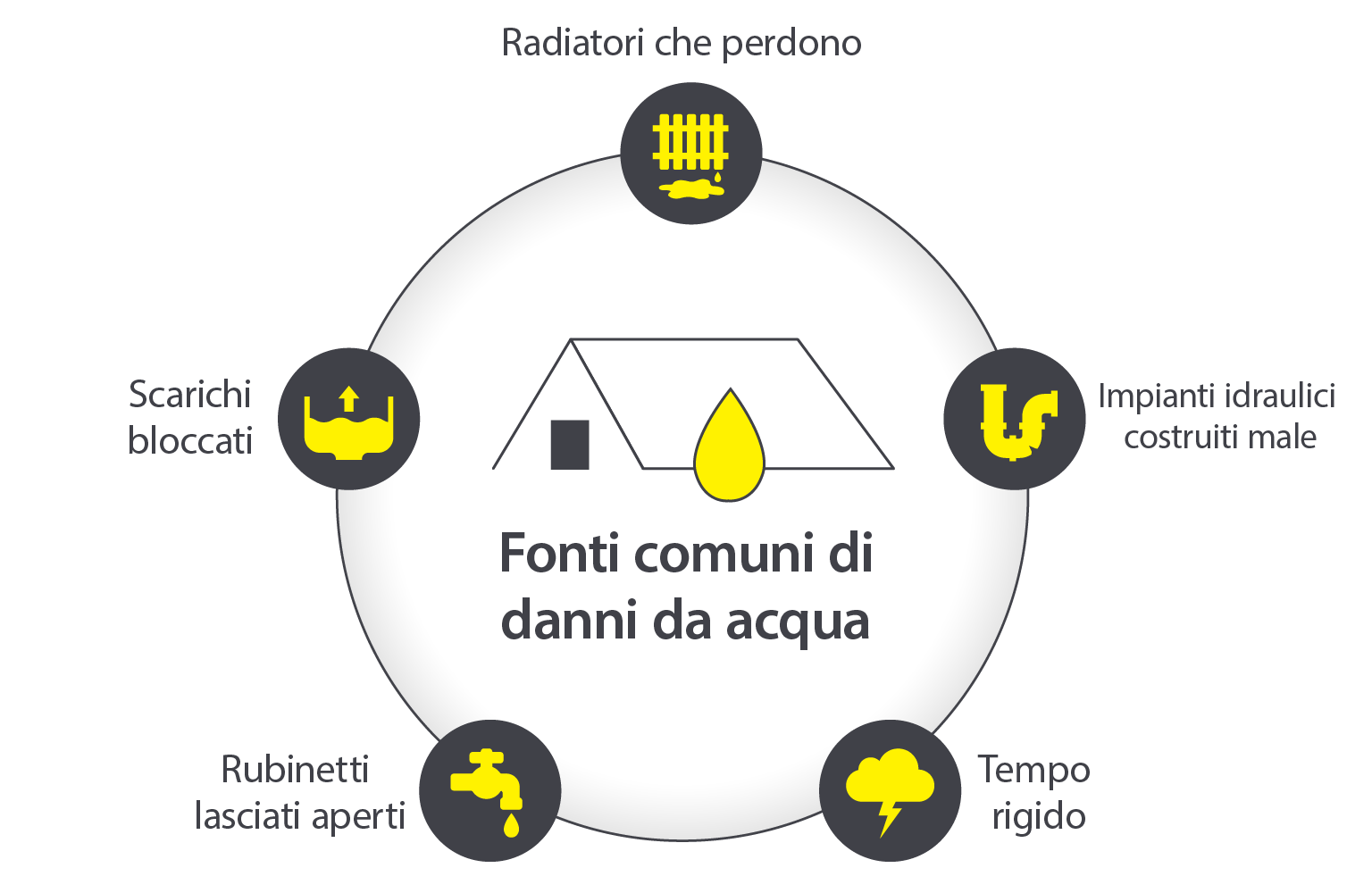 Un'infografica che illustra 5 fonti comuni di danni causati dall'acqua, tra cui: radiatori che perdono, impianti idraulici costruiti male, condizioni meteorologiche avverse, rubinetti lasciati aperti e scarichi bloccati.