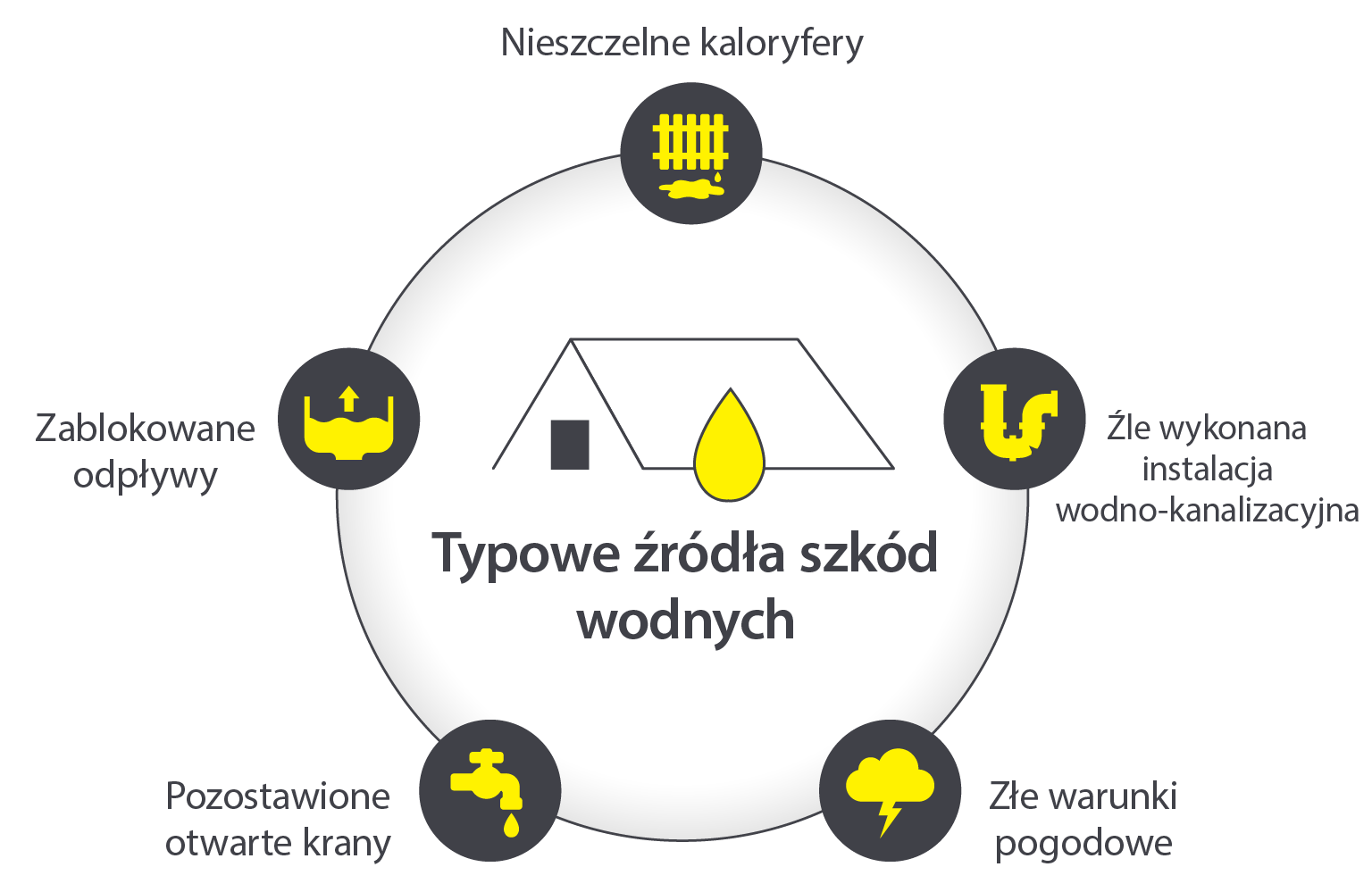 Infografika ilustrująca 5 najczęstszych przyczyn szkód spowodowanych przez wodę: nieszczelne kaloryfery, źle skonstruowana instalacja wodno-kanalizacyjna, trudne warunki pogodowe, pozostawione odkręcone krany i niedrożne odpływy