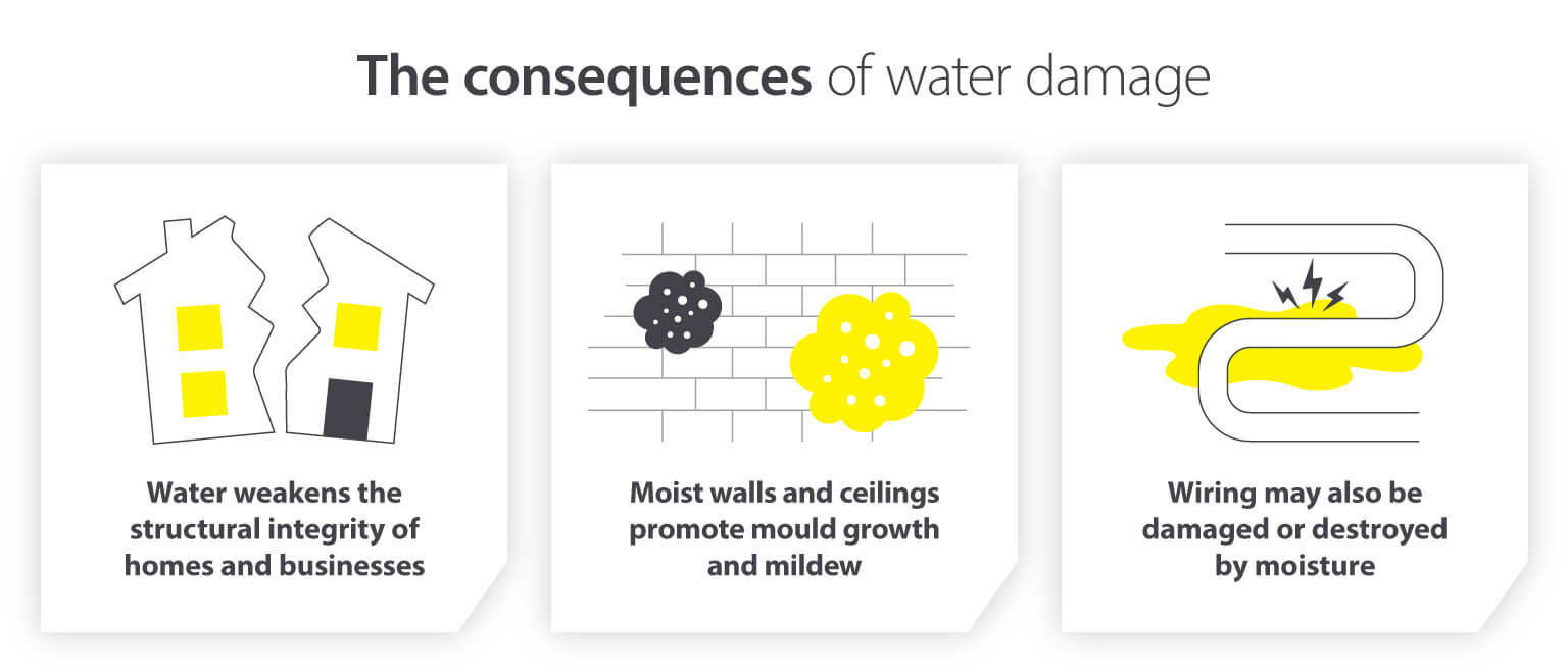 An Infographic on 3 consequences of water damage including: weakening structural integrity, promotion of mould growth and mildrew, and damage to wiring
