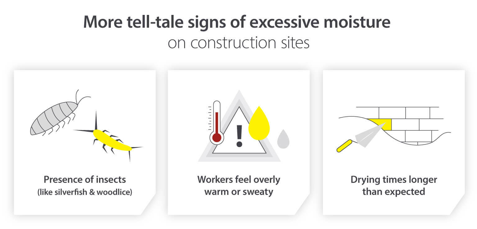 Signs of excessive moisture on a building site from workforce conditions and drying times, to presence if insects - Infographic image