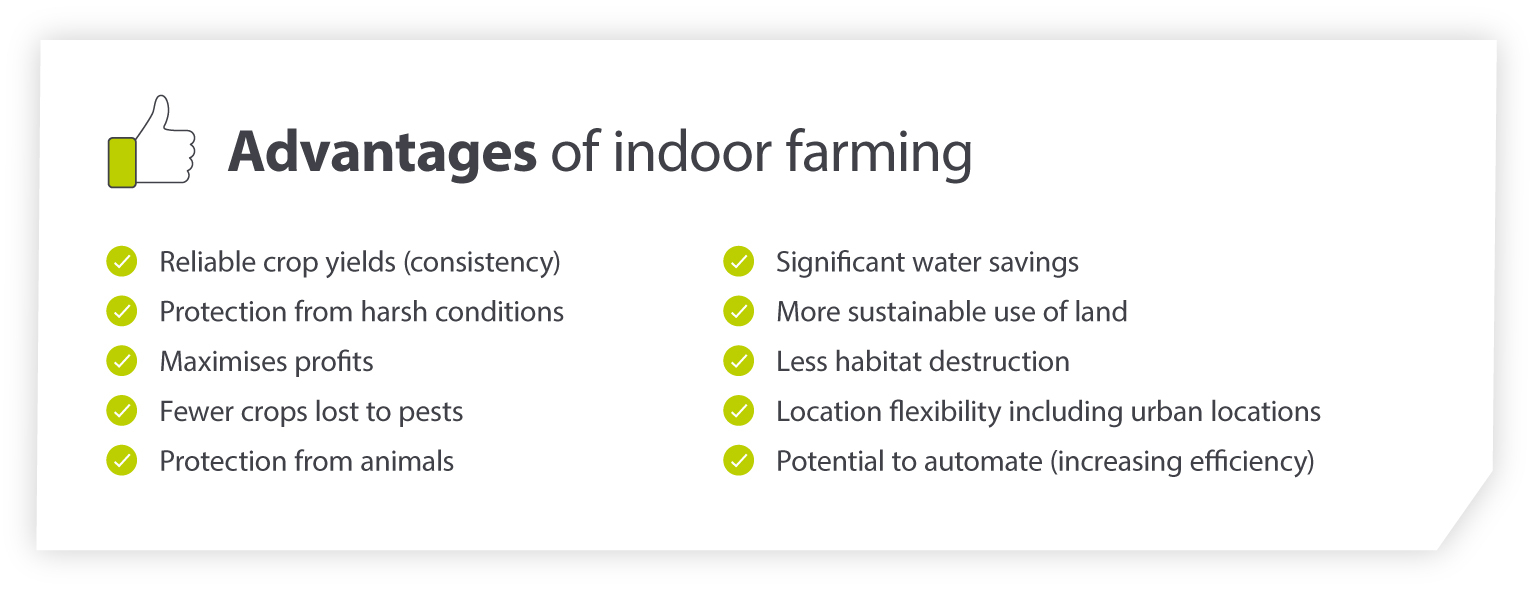 Advantages of Indoor Farming