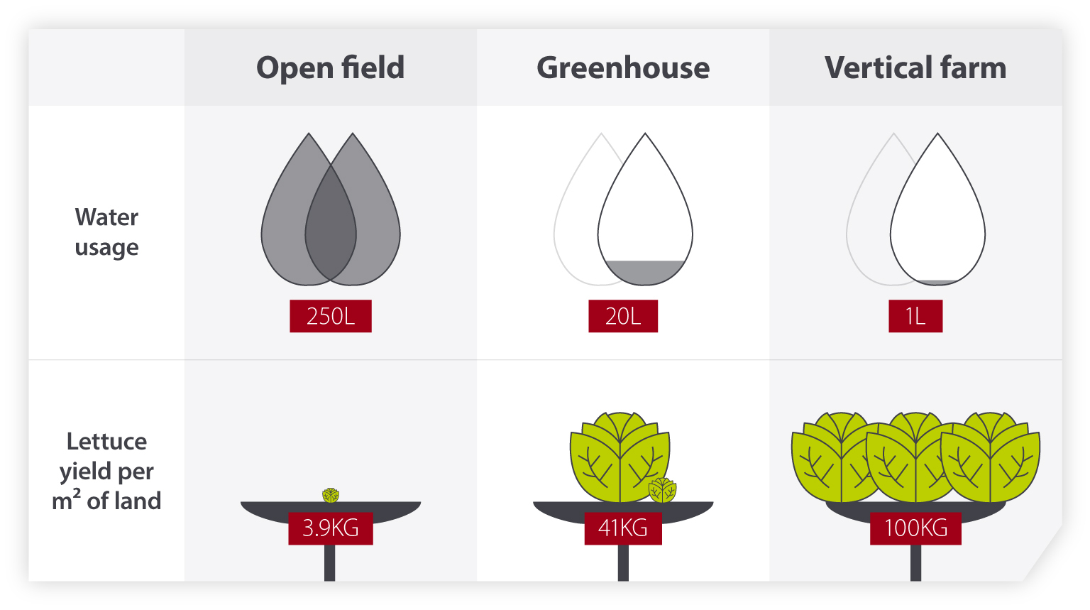 Controlled Environment Agriculture Impact