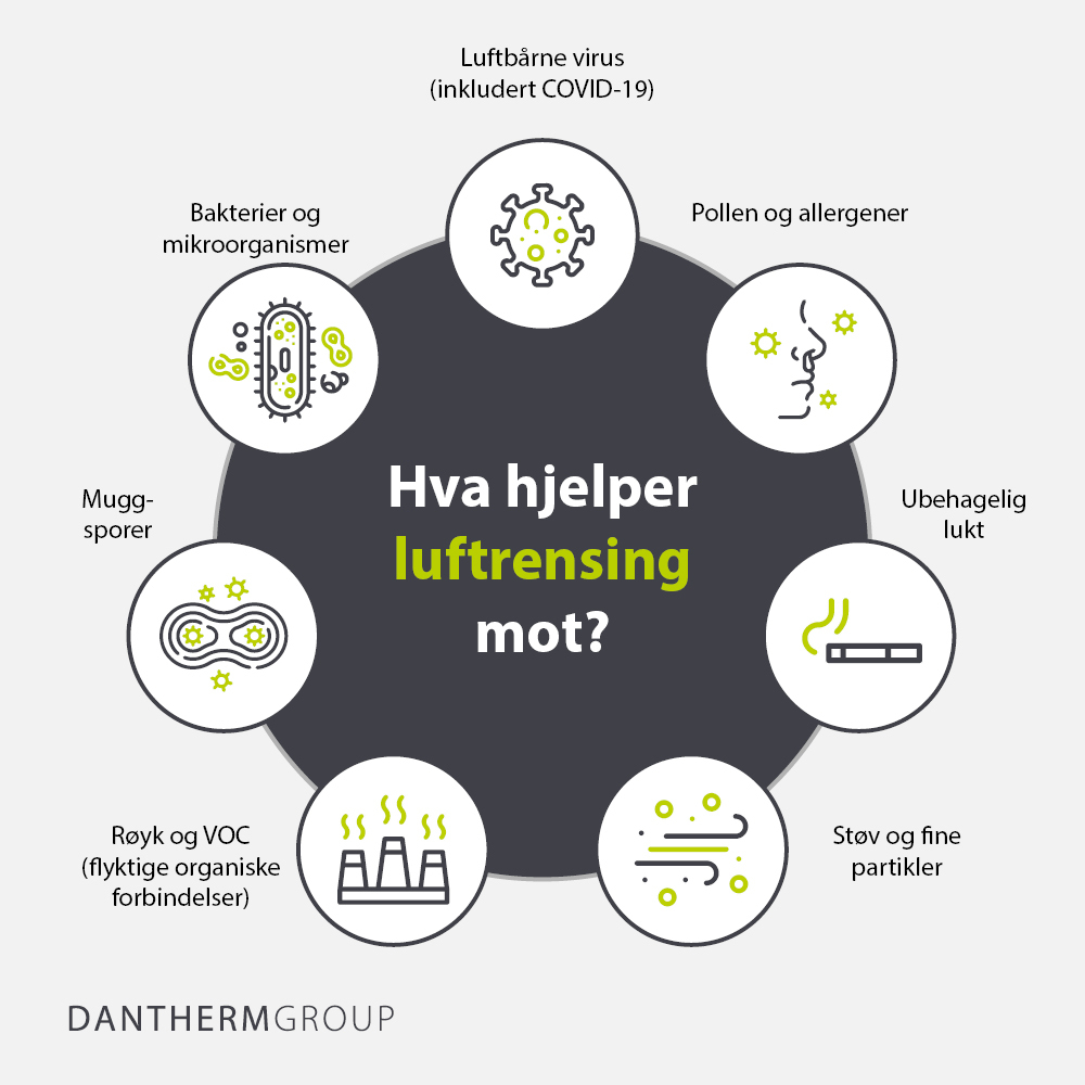 Hva hjelper luftrensing mot?