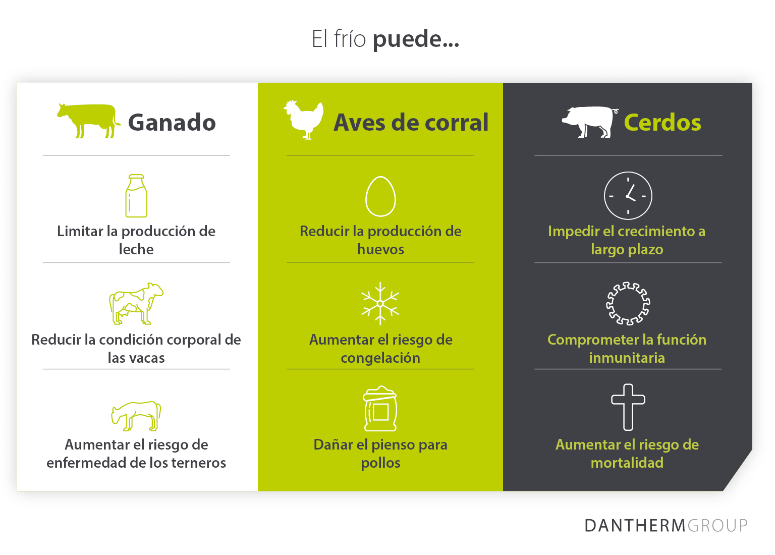 Cómo afectan el frío y las condiciones climáticas a la cría y producción de ganado vacuno, aves de corral y porcino - Dantherm Group
