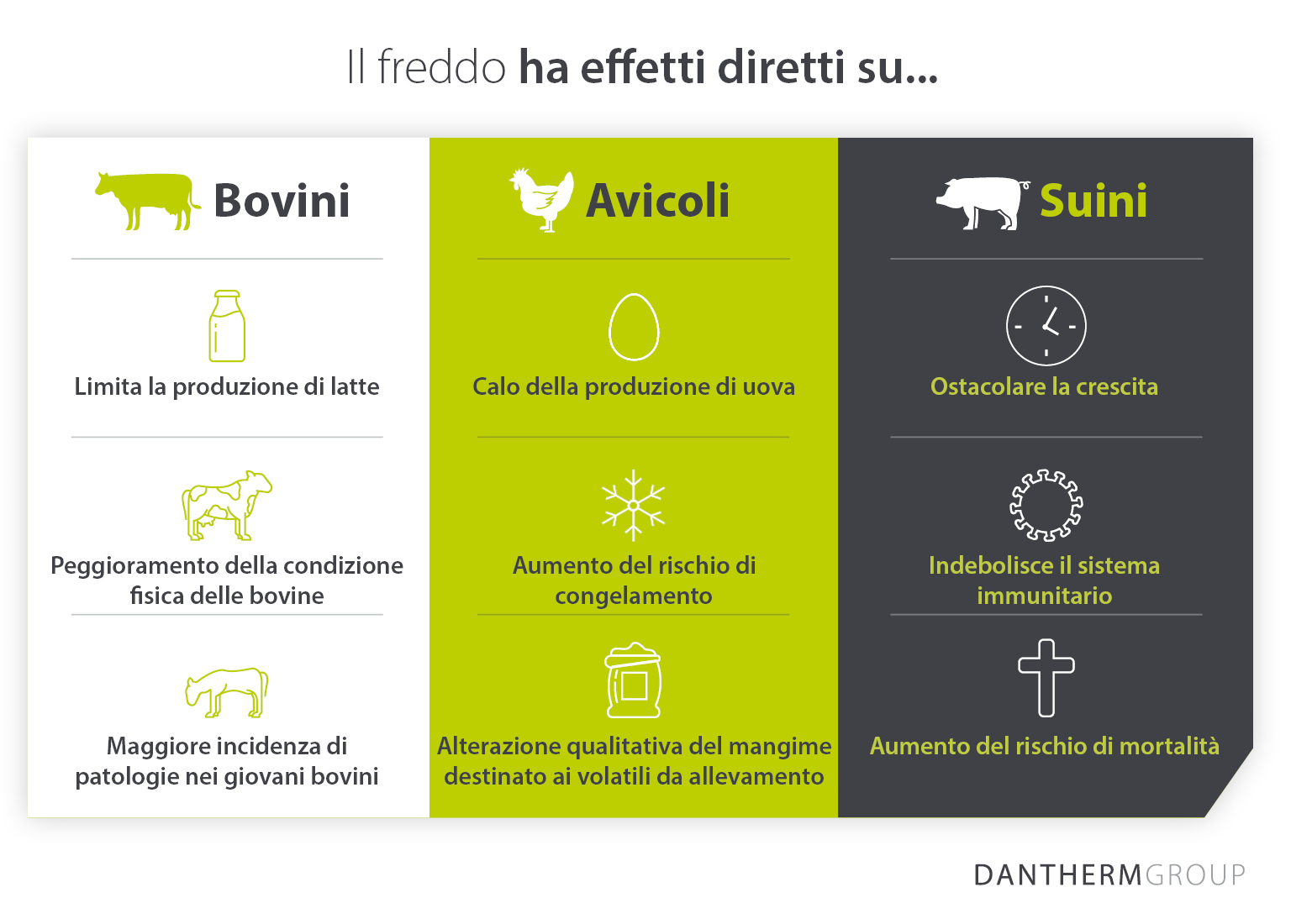 Come il freddo e le condizioni climatiche influiscono sull'allevamento e sulla produzione di bovini, pollame e suini - Dantherm Group