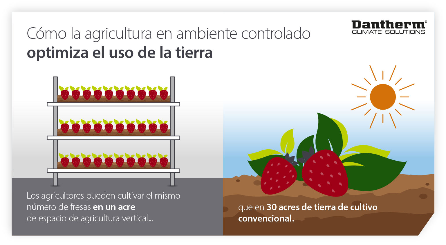How controlled environment agriculture and vertical farms help optimise land usage - infographic image