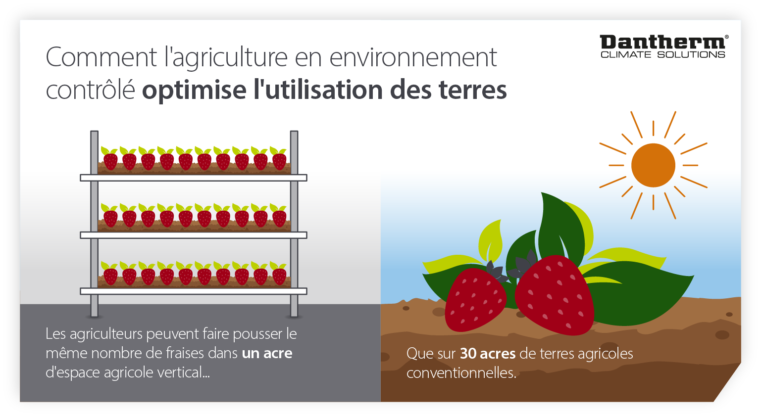 How controlled environment agriculture and vertical farms help optimise land usage - infographic image