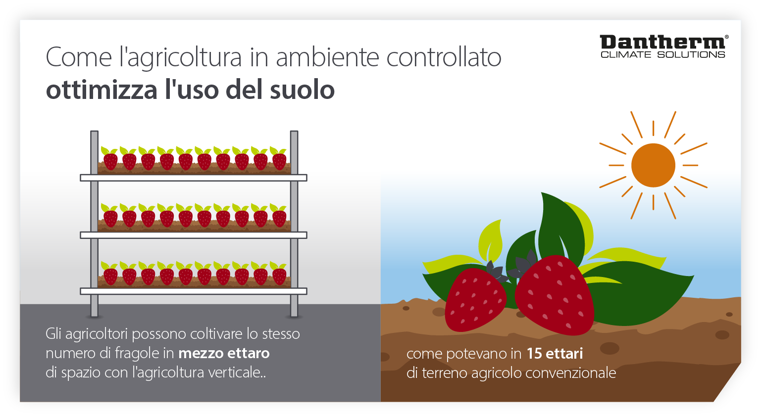 How controlled environment agriculture and vertical farms help optimise land usage - infographic image