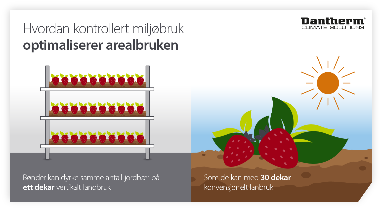 How controlled environment agriculture and vertical farms help optimise land usage - infographic image