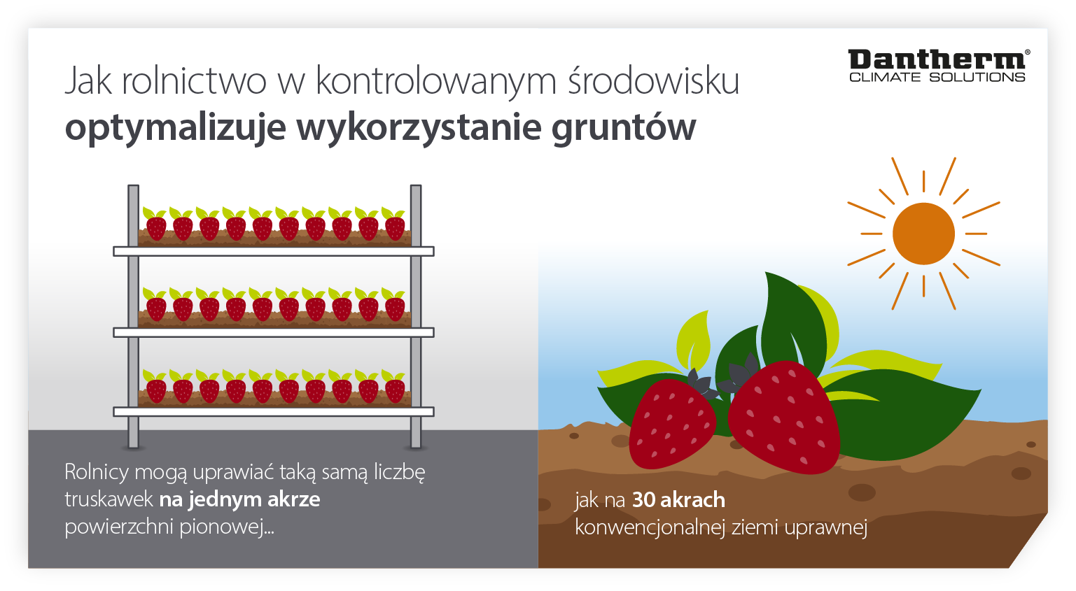 How controlled environment agriculture and vertical farms help optimise land usage - infographic image