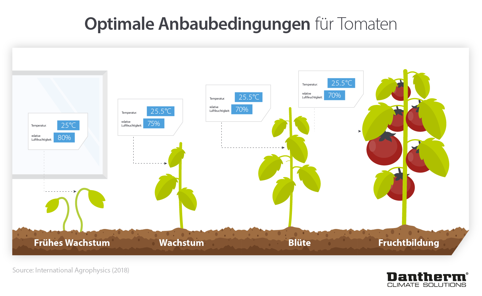 How vertical farms can maintain optimal growing conditions using less energy and resources - infographic image