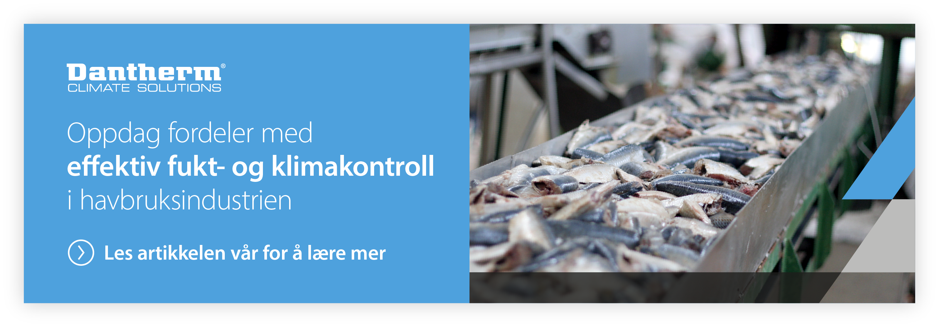 Bilde som lenker til en Dantherm-artikkel om verdien av effektiv klimakontroll i fiskehåndteringsanlegg.