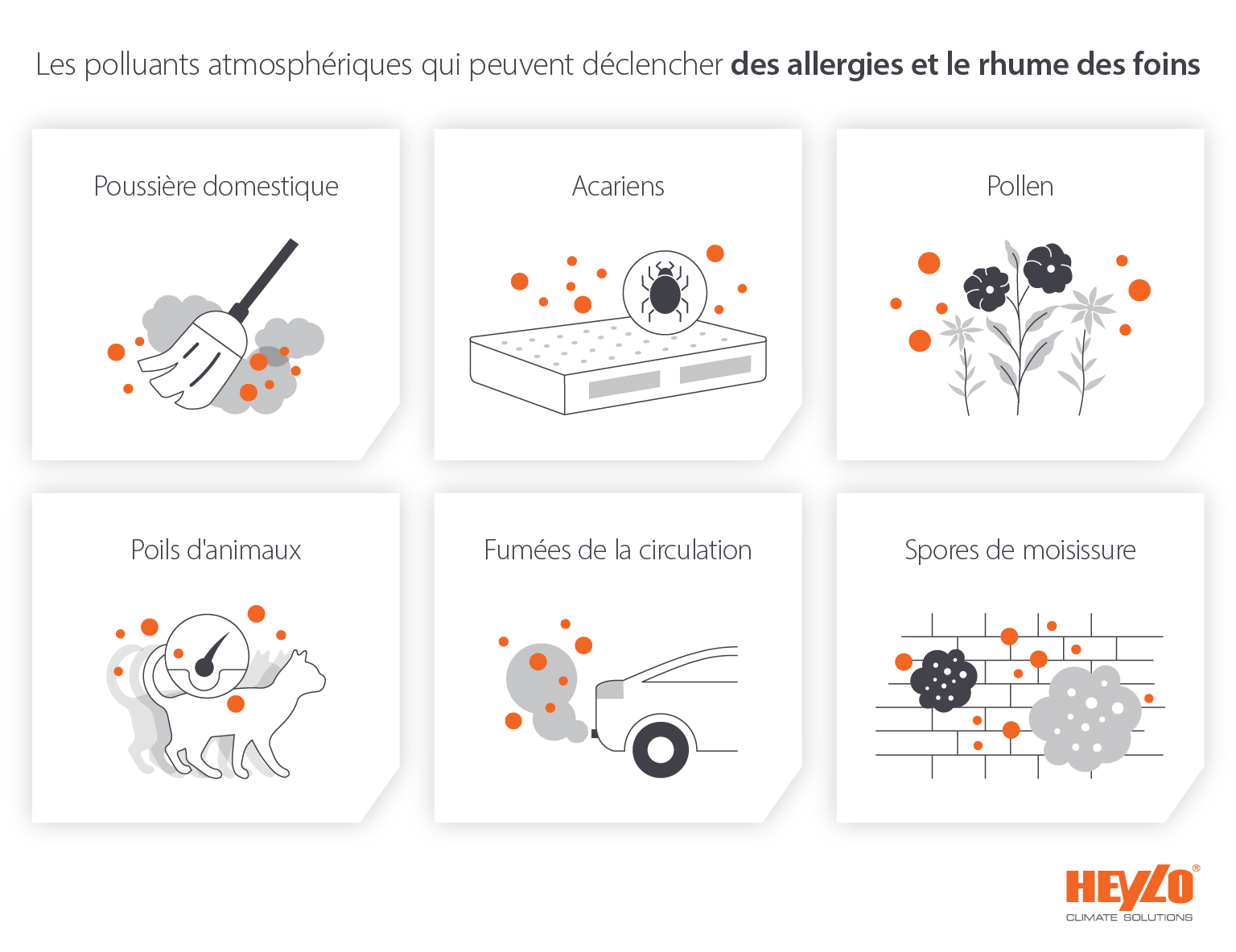 Les polluants atmosphériques qui peuvent déclencher des allergies et le rhume des foins comme la poussière, les acariens, les spores de moisissures, les poils d'animaux et les fumées - Image infographique