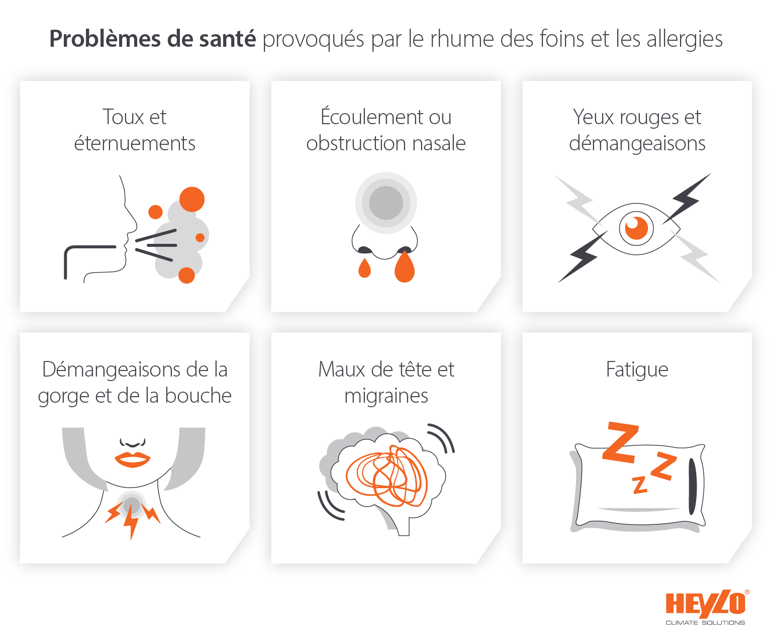 Problèmes de santé et effets des allergies et du rhume des foins sur les personnes - Image infographique