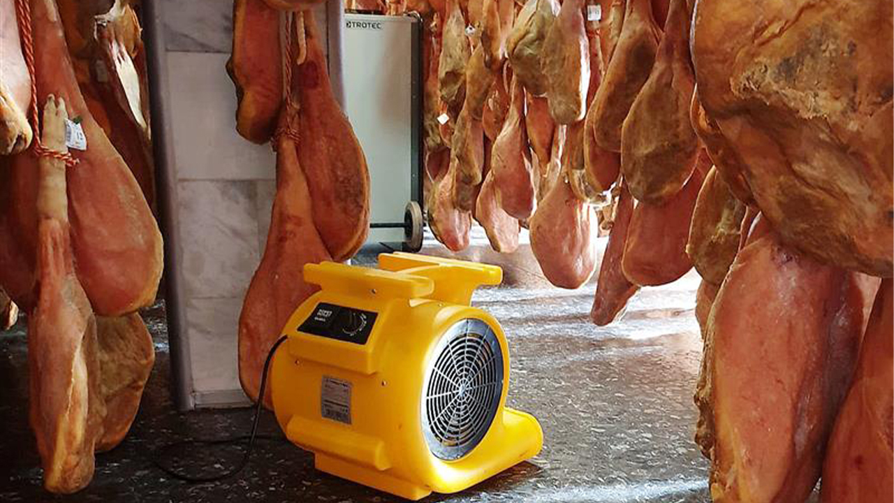TFV blower in action in meat curing facility