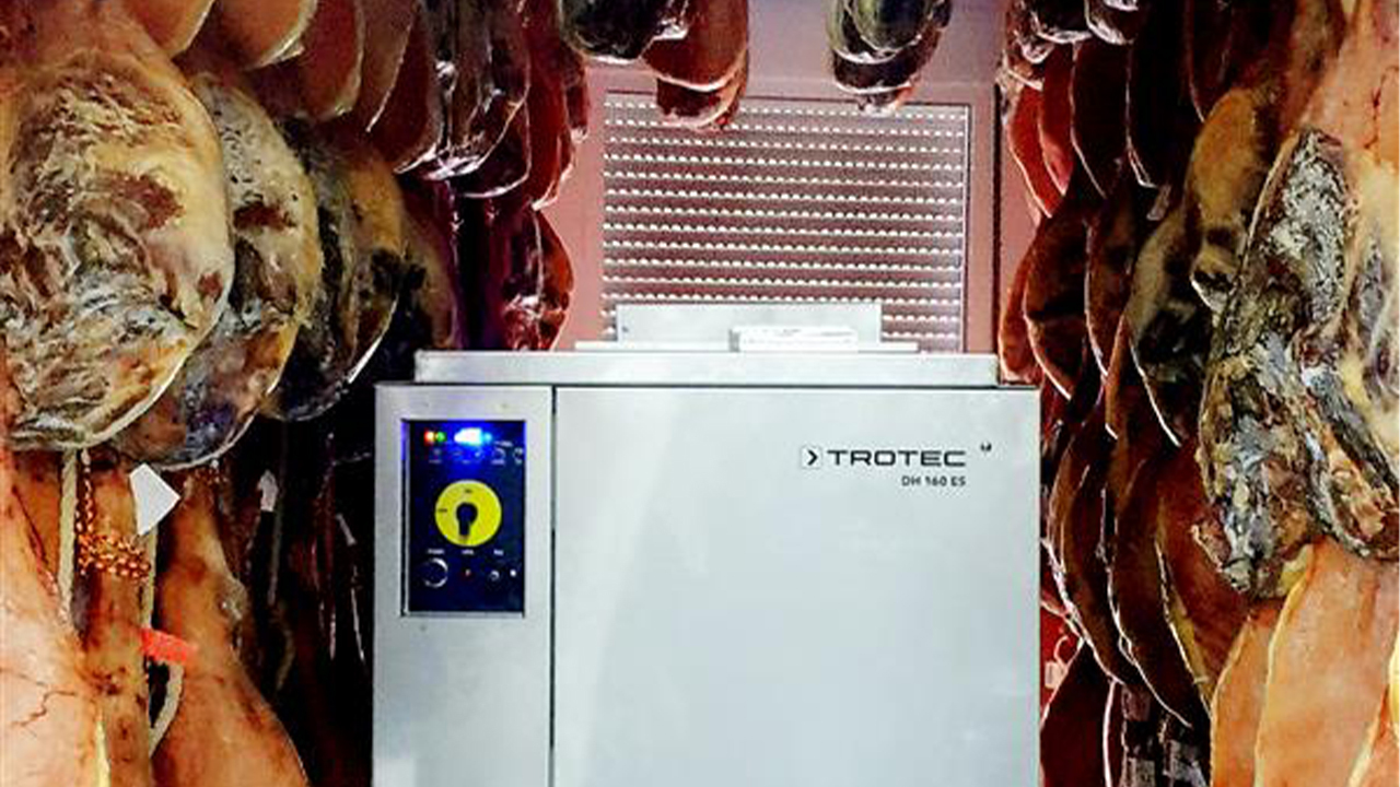 Dehumidifier for curing of meat - Dantherm Group