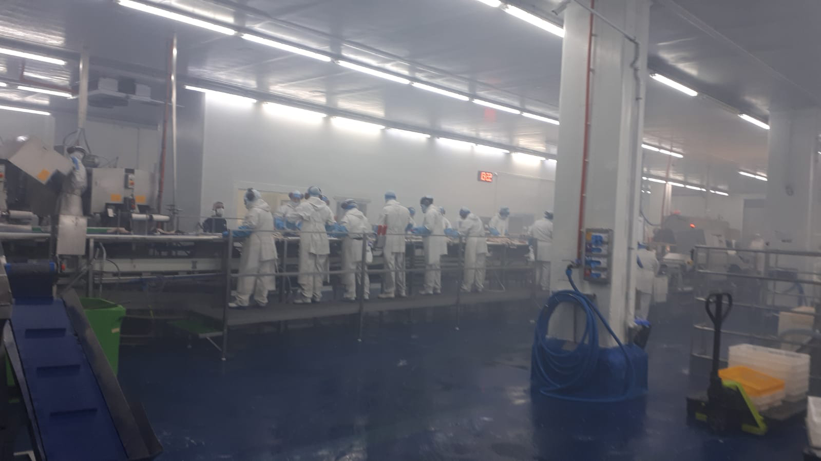 MareDeus fish packaging area before installation of dehumidifiers