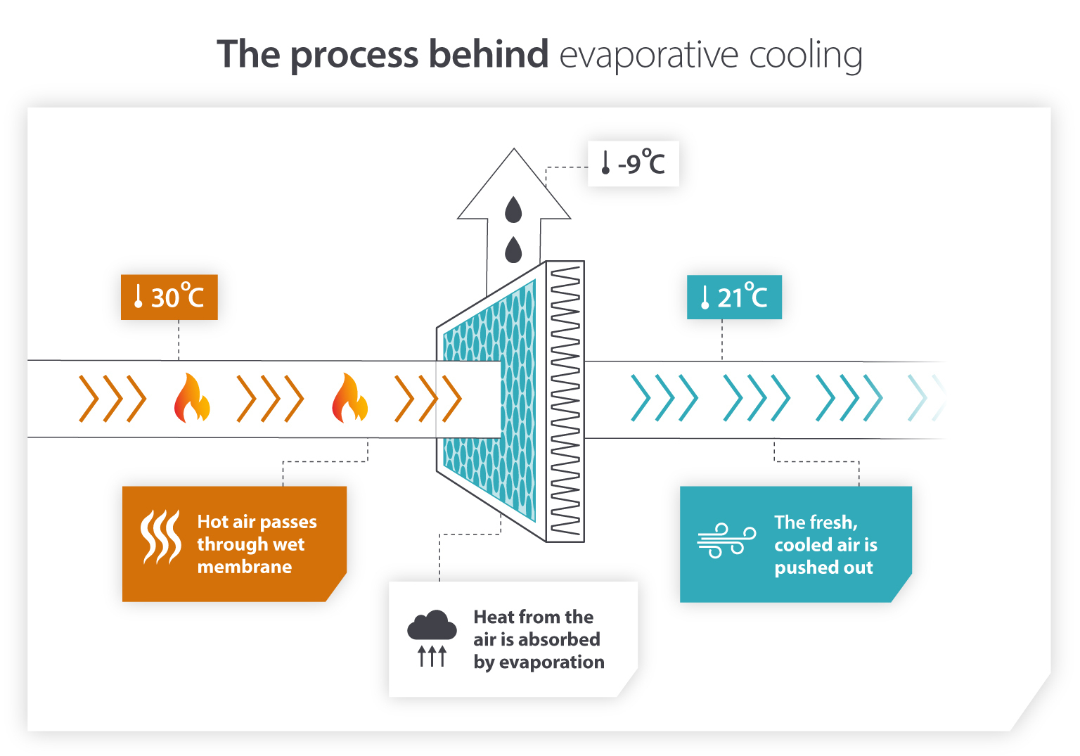 How evaporative cooling helps reduce heat stress - Infographic