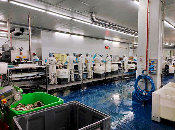 MareDeus fish packaging area after installation of dehumidification solution