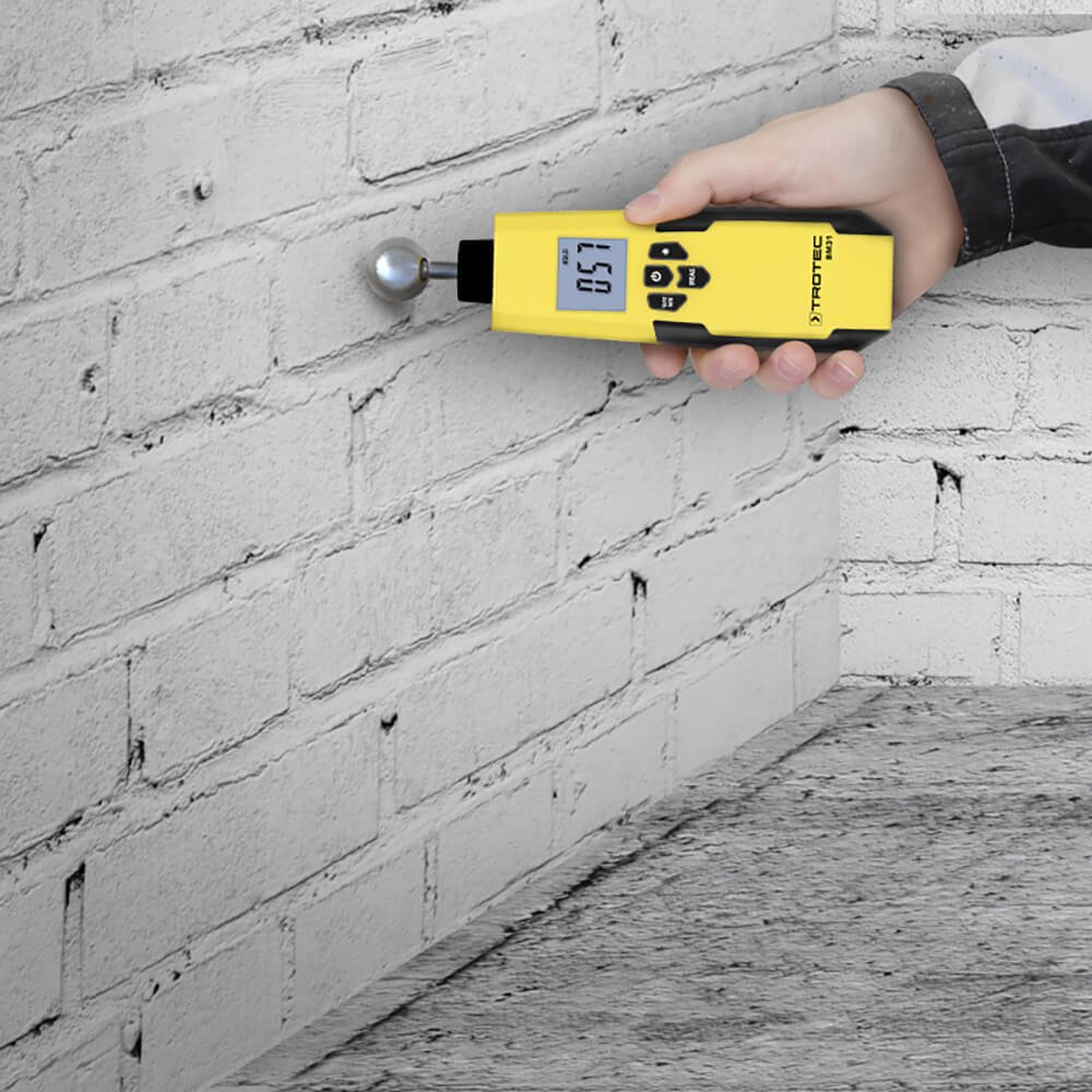 Feuchteindikator BM31